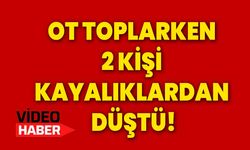 Ot toplarken 2 kişi kayalıklardan düştü!