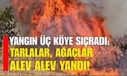 Yangın üç köye sıçradı: Tarlalar, ağaçlar  alev alev yandı!