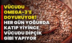 Vücudu omega-3’e doyuruyor! Her gün yoğurda katıp yiyince vücudu dipçik gibi yapıyor