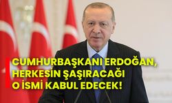 Cumhurbaşkanı Erdoğan, herkesin şaşıracağı o ismi kabul edecek!