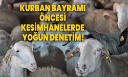 Kurban Bayramı Öncesi Kesimhanelerde Yoğun Denetim!