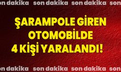 Şarampole giren otomobilde 4 kişi yaralandı!