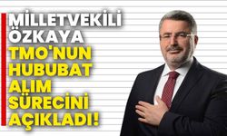 Milletvekili Özkaya, TMO'nun Hububat Alım Sürecini Açıkladı!