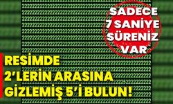 Resimde 2’lerin arasına gizlemiş 5’i bulun! Sadece 7 saniye süreniz var