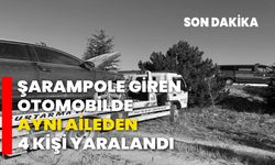 Şarampole giren otomobilde aynı aileden 4 kişi yaralandı