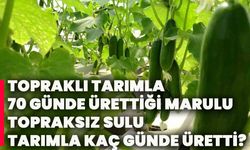 Topraklı tarımla 70 günde ürettiği marulu topraksız sulu tarımla kaç günde üretti?