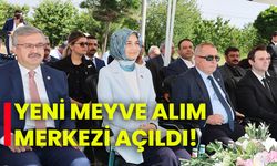 Yeni meyve alım merkezi açıldı!