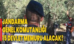 Jandarma Genel Komutanlığı 15 Devlet Memuru Alacak