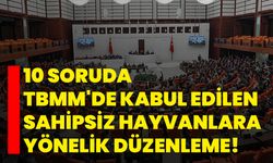 10 soruda TBMM'de kabul edilen sahipsiz hayvanlara yönelik düzenleme!