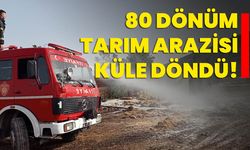 80 dönüm tarım arazisi küle döndü!