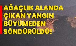 Ağaçlık alanda çıkan yangın büyümeden söndürüldü!