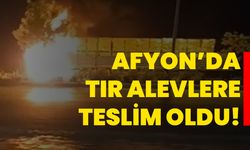 Afyon’da tır alevlere teslim oldu!