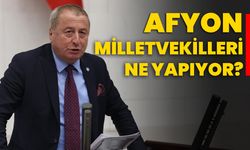 Afyon milletvekilleri ne yapıyor?