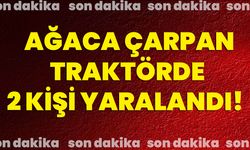 Ağaca çarpan traktörde 2 kişi yaralandı!