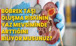 Böbrek Taşı Oluşma Riskinin Yaz Mevsiminde Arttığını Biliyor Musunuz?