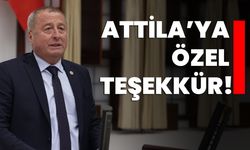 Attila’ya özel teşekkür!