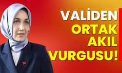 Vali Yiğitbaşı’ndan ortak akıl vurgusu!