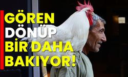 Gören dönüp bir daha bakıyor!