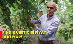 Fındık üreticisi fiyat bekliyor!