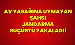 Av yasağına uymayan şahsı jandarma suçüstü yakaladı!