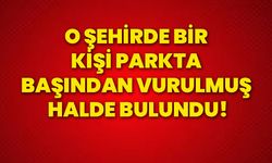 O şehirde bir kişi parkta başından vurulmuş halde bulundu!