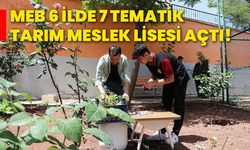 MEB, 6 ilde 7 tematik Tarım Meslek Lisesi açtı!