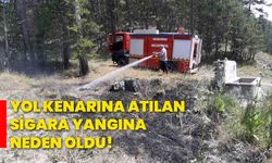 Yol kenarına atılan sigara yangına neden oldu!