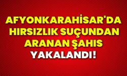 Afyonkarahisar'da hırsızlık suçundan aranan şahıs yakalandı!