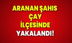 Aranan şahıs Çay İlçesinde yakalandı!