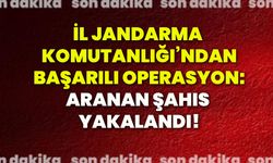 İl Jandarma Komutanlığı’ndan başarılı operasyon: Aranan şahıs yakalandı