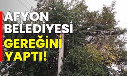 Afyonkarahisar Belediyesi gereğini yaptı!