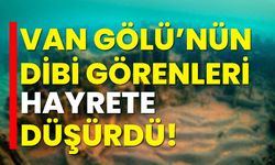 Van Gölü’nün dibi görenleri hayrete düşürdü!