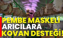 Pembe maske arıcılara kovan desteği!