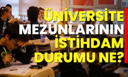 Üniversite mezunlarının istihdam durumu ne?