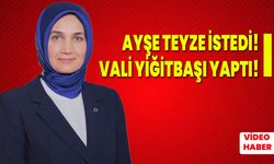 Ayşe Teyze istedi! Vali Yiğitbaşı yaptı!