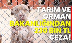 Tarım ve Orman Bakanlığından 230 Bin Lira Para Cezası!