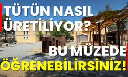 Tütün nasıl üretiliyor? Bu müzeden öğrenebilirsiniz!