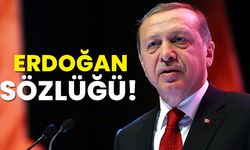 140journos Ekibinden "Erdoğan Sözlüğü"