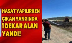 Hasat Yapılırken Çıkan Yangında 1 Dekar Alan Yandı