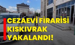 Cezaevi firarisi kıskıvrak yakalandı!