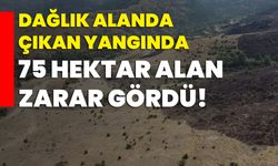 Dağlık alanda çıkan yangında 75 hektar alan zarar gördü!