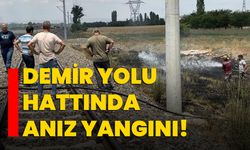 Demir yolu hattında anız yangını!