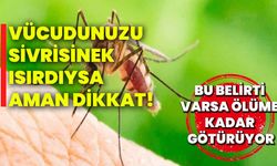 Vücudunuzu sivrisinek ısırdıysa aman dikkat! Bu belirti varsa ölüme kadar götürüyor