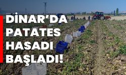 Dinar’da patates hasadı başladı!