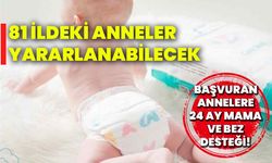 Başvuran annelere 24 ay mama ve bez desteği! 81 ildeki anneler yararlanabilecek