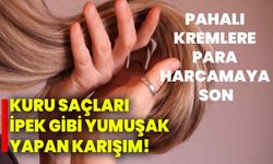 Kuru saçları ipek gibi yumuşak yapan karışım! Pahalı kremlere para harcamaya son