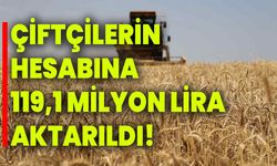 Çiftçilerin hesabına 119,1 milyon lira aktarıldı!