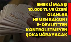 Emekli maaşı 10.000 TL ve üzeri olanlar hemen baksın! e-Devlet’ten kontrol etmeyen şoka uğrayacak