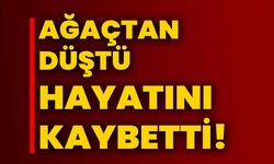 Ağaçtan düştü hayatını kaybetti!