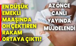 En düşük emekli maaşında oh çektiren rakam ortaya çıktı! Az önce canlı yayında müjdelendi